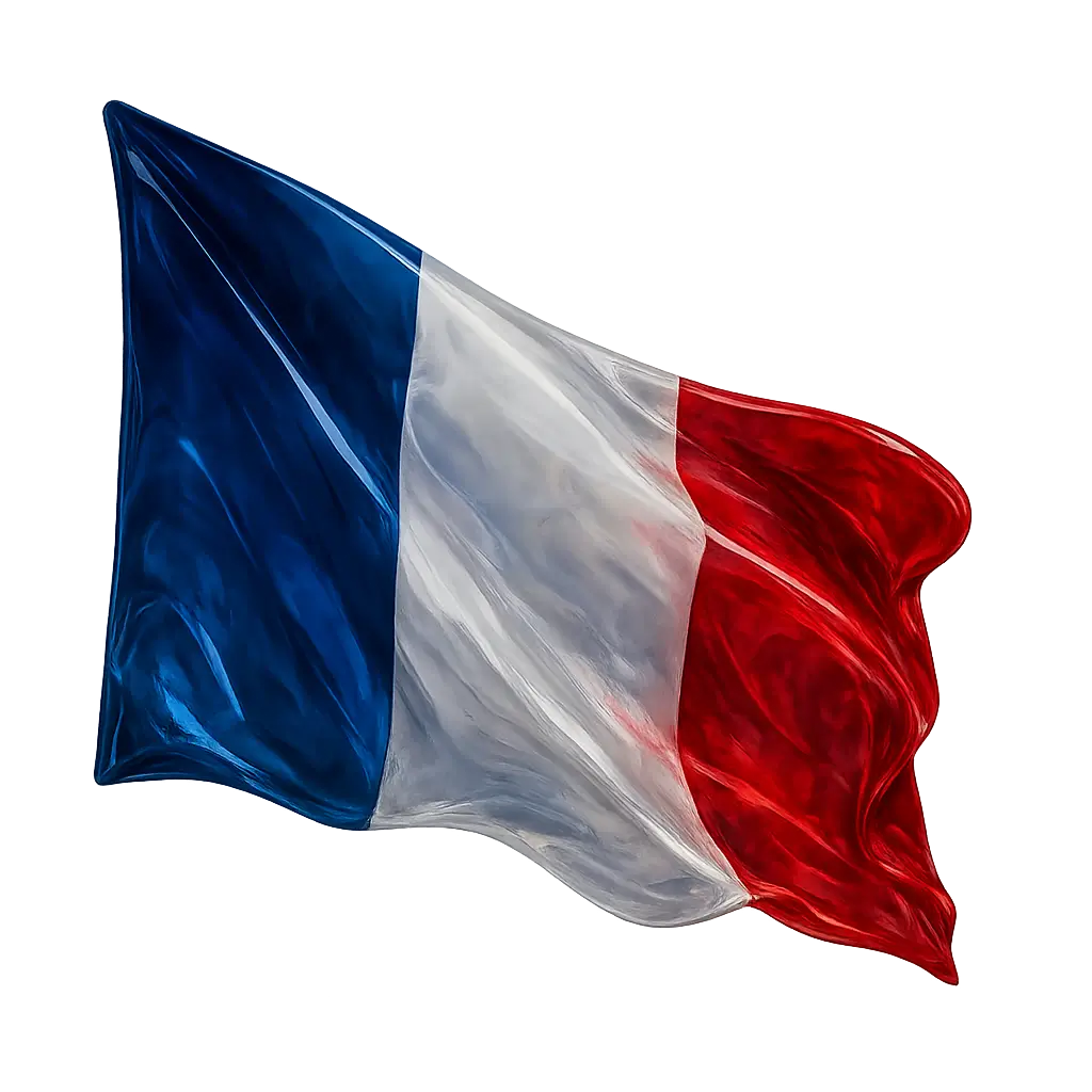 خرید سرور اختصاصی فرانسه با امنیت DDoS