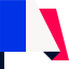 سرور اختصاصی فرانسه
